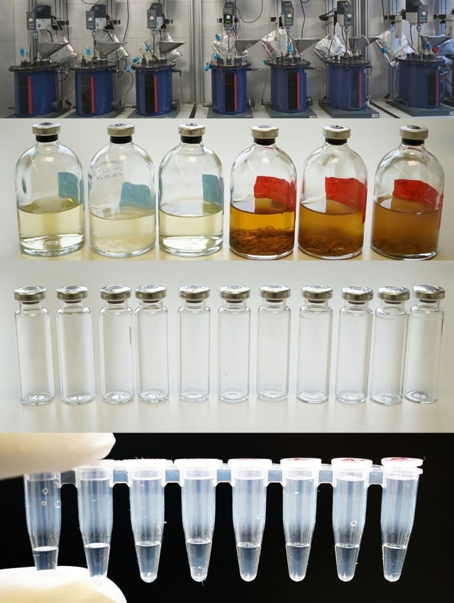 Mikrobiologie anaerober Systeme Mikrobiologie anaerober Systeme